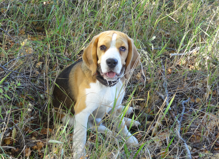 ������ � ������ gps ��������