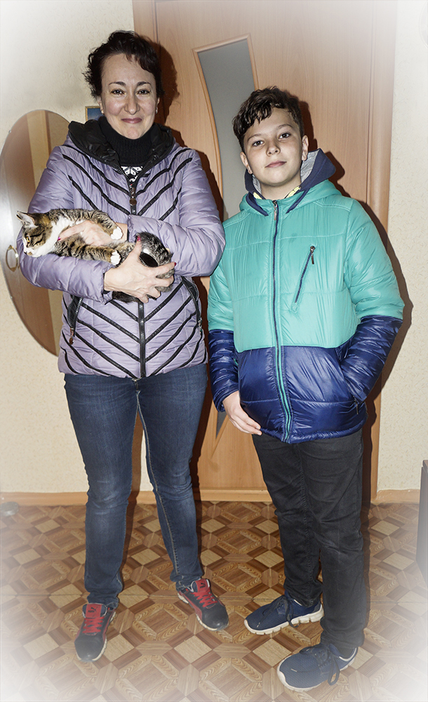 KITTEN BORKA FOUND A HOUSE AND A GOOD FAMILY - My, In good hands, Kittens, Catomafia, Minsk, Longpost, cat