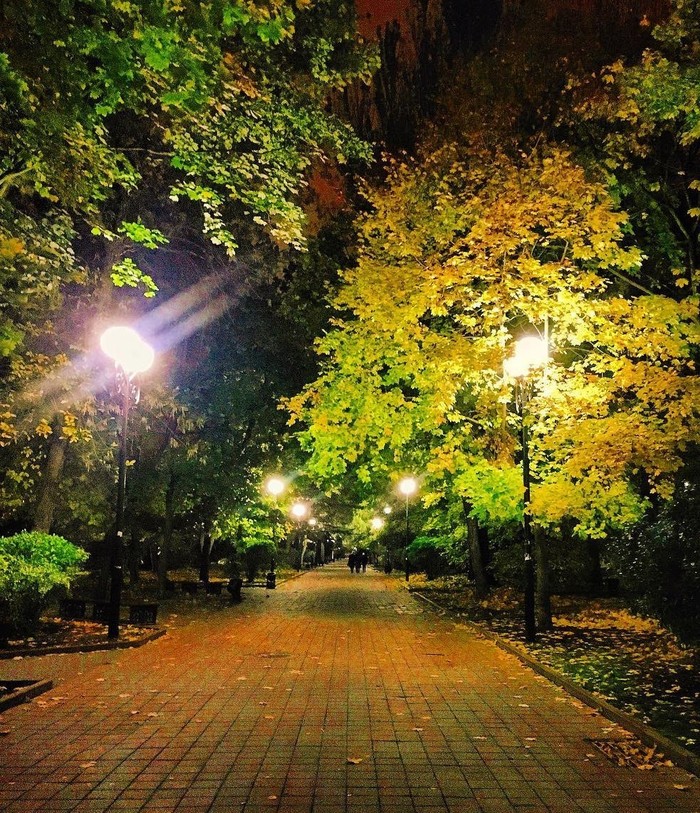 Autumn Pushkinskaya. - My, Rostov-on-Don, Autumn, Night, Lamp, Walk, The street, , One day of life