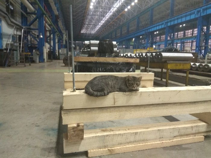 ������� ����� � ������.