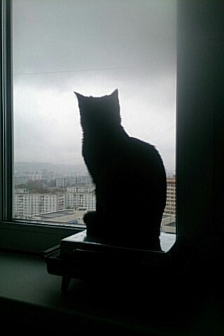 ����� ������ ����� ����� �����