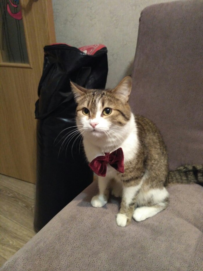 Не самая красивая, но бантик идет