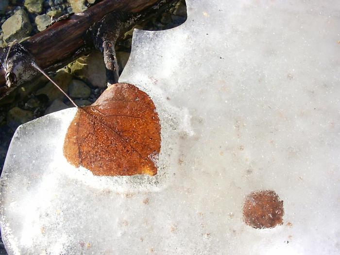 Противостояние