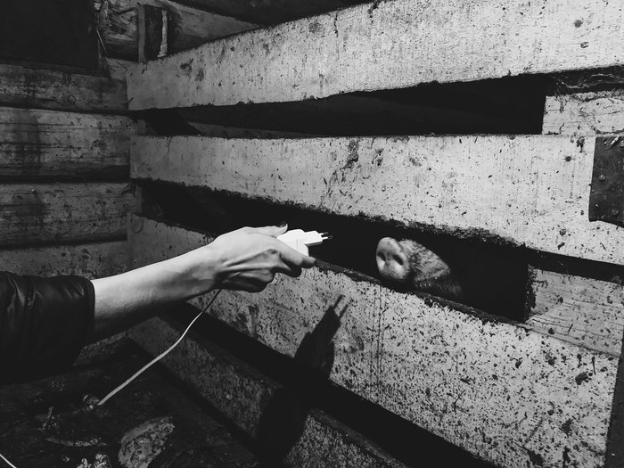 Я все правильно делаю? или "розетка она и есть розетка" P.S. (ни один пятачок не пострадал)