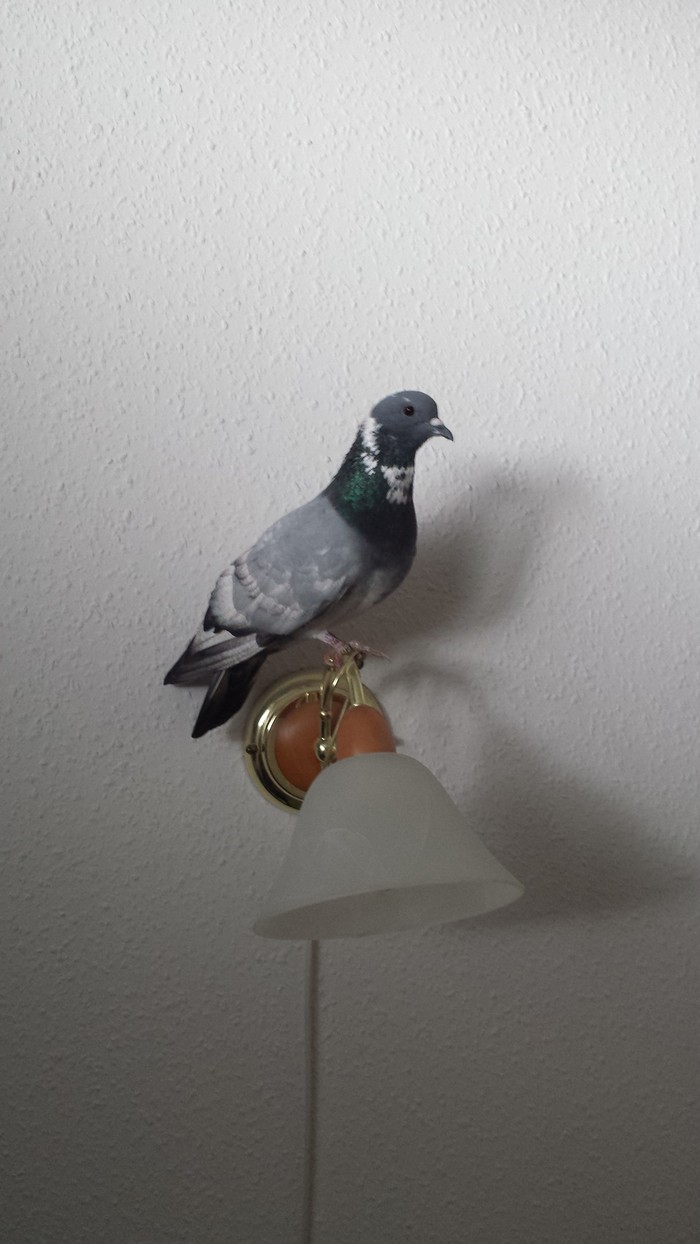 ����� � �������.