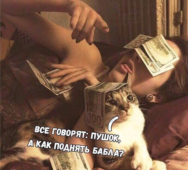 ������� ��������� �� �����