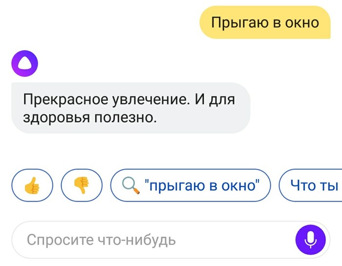 Alice knows a lot about hobbies - My, Screenshot, Yandex Alice