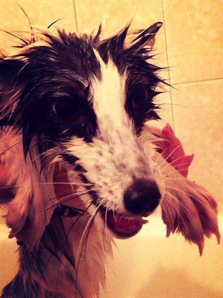 ������ ���� ������ �� ������� :�