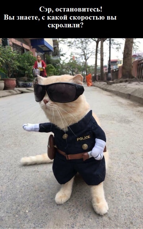 Сэр, остановитесь!