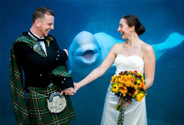 A selection of funny wedding photos - Wedding, Funny, The photo, A selection, Longpost