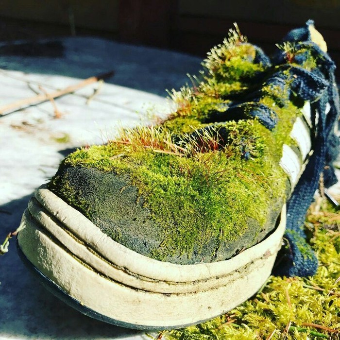 Some time later - Abandoned, Nature, Forgotten, Sneakers