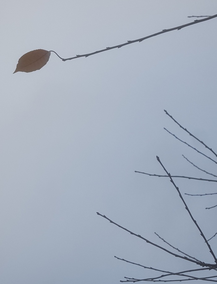 Последний герой