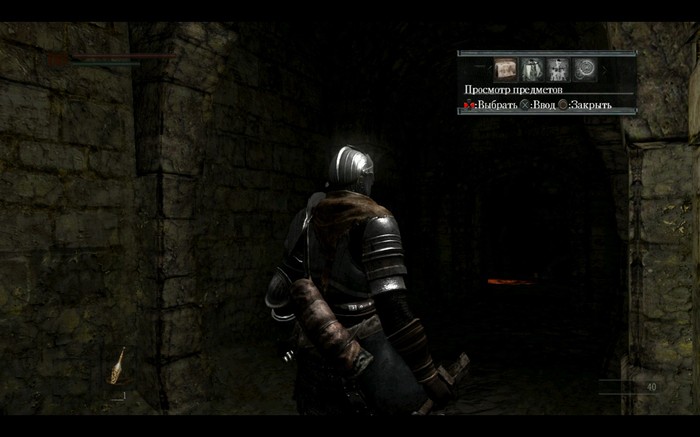 Bug in Dark Soul - Dark souls, Bug