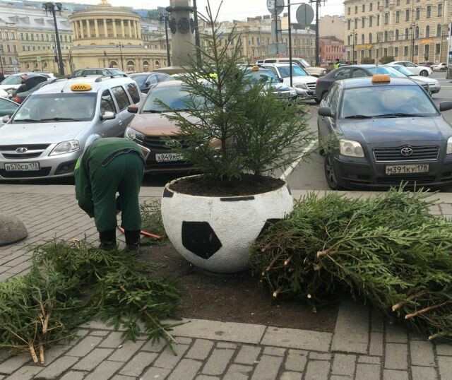 Озеленение клумб в Санкт-Петербурге к новому году - Новый Год, Клумба, Длиннопост