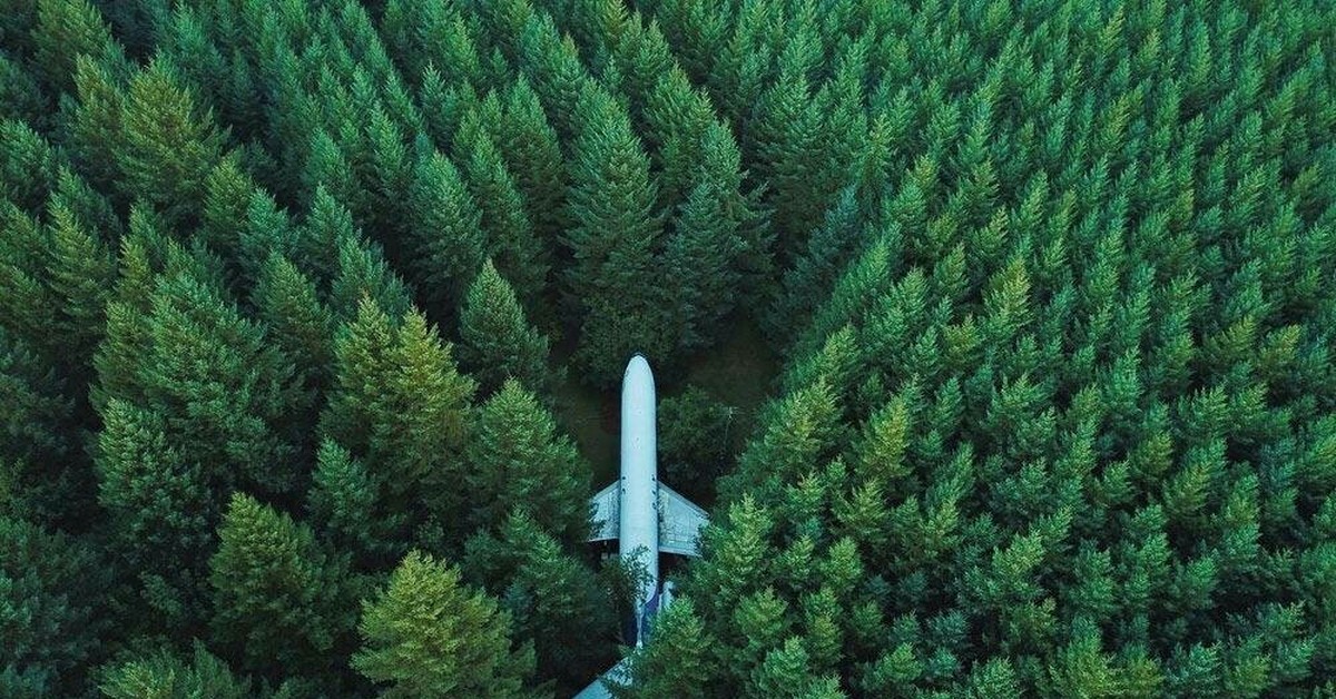 Вид на лес сверху