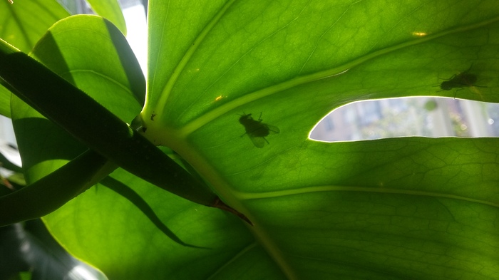 ���� ������� ���� � ����������