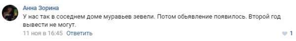 Uncle gave 100 rubles, and I scattered cockroaches here - Society, Insects, Cockroaches