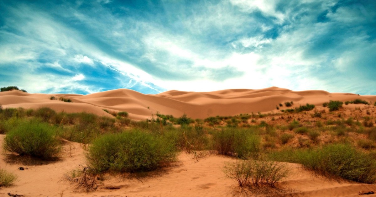 Desert на русском. Астрахань полупустыня пустыня. Полупустыни и пустыни Астрахань. Астрахань пустыня Бархан.