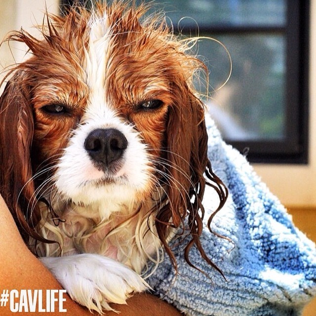 �� ����� ����, ����� ���� � ������ ������.