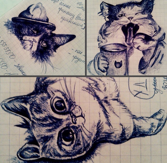 When learning is very interesting - My, Pen drawing, Drawing, Work, Education, cat