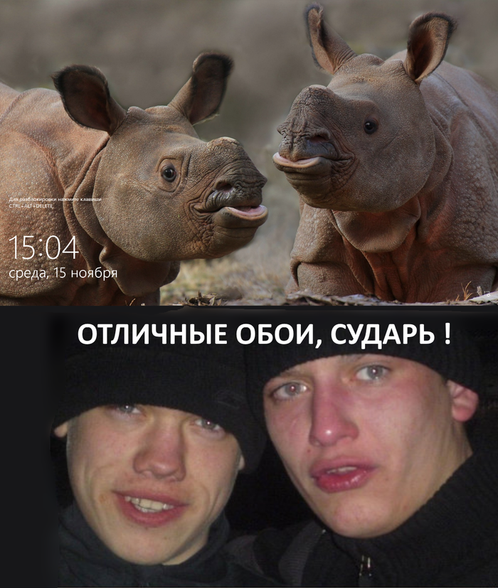 Новые обои завезли