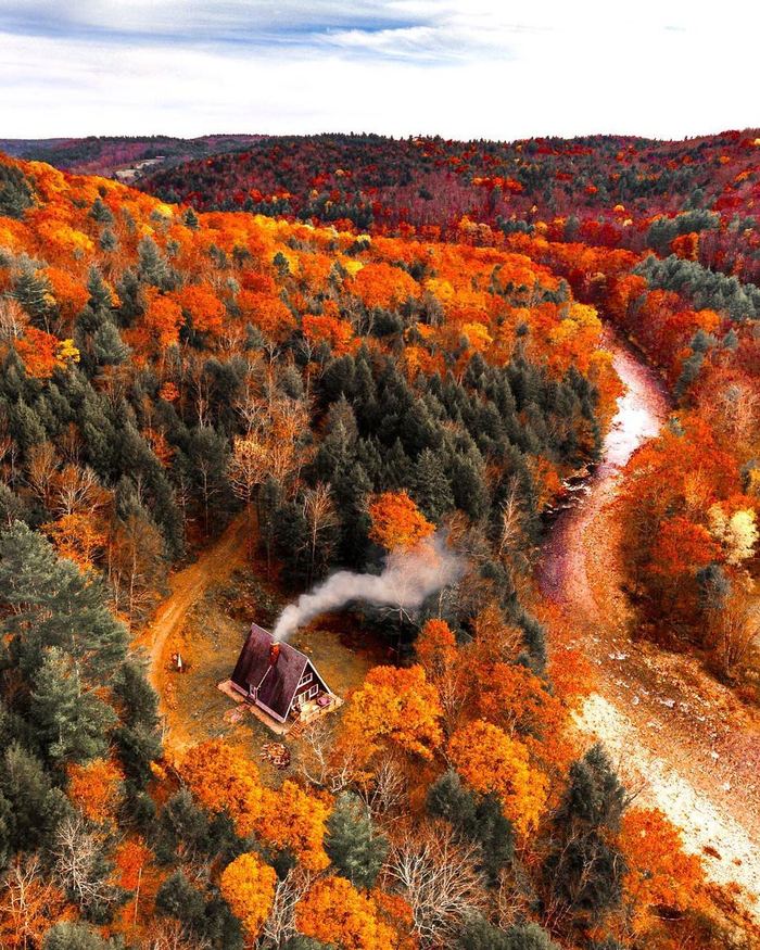 Autumn forest in Massachusetts - Autumn, Nature, House