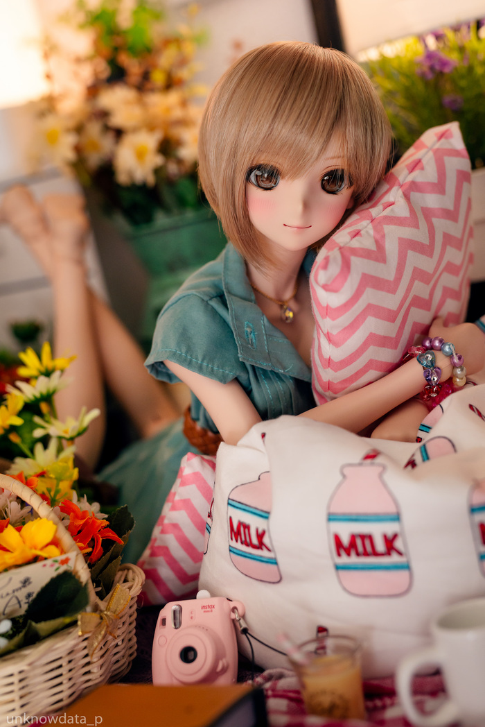 DollfieDream -   Dollfiedream,  , 