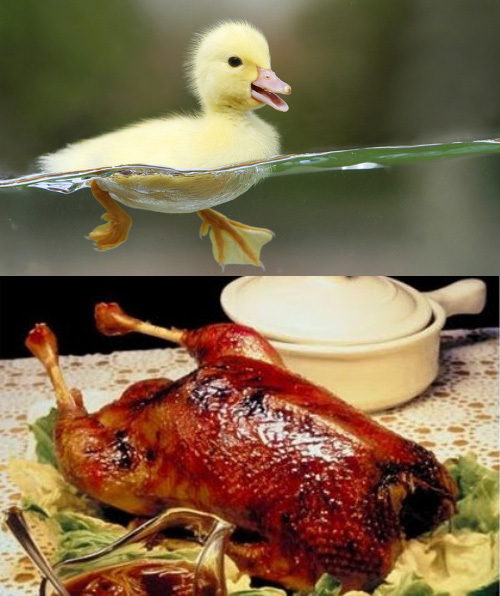 ����/�����