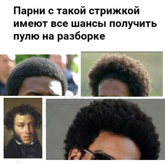 Pushkin's family secret. - Alexander Sergeevich Pushkin, Russians, Peter I, Genetics, Pedigree, Pushkin, Longpost, 