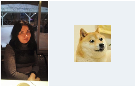 Good photo) - My, Similarity, Shiba Inu