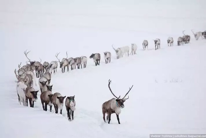 Посты на Пикабу - Посты на Пикабу, Измена