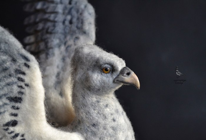Childhood dream - own hippogriff! Though felted - My, Harry Potter, Hippogriff, Potterianna, Dry felting, Needlework without process, Harry Potter and the prisoner of Azkaban
