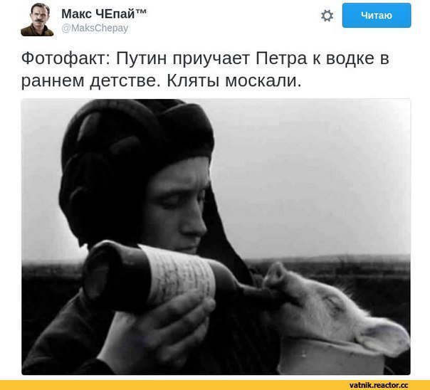 Так вот оно что - Петр Порошенко, Поросята, Танкист, Владимир Путин, Водка, Политика, Twitter, Макс Чепай, Танкисты