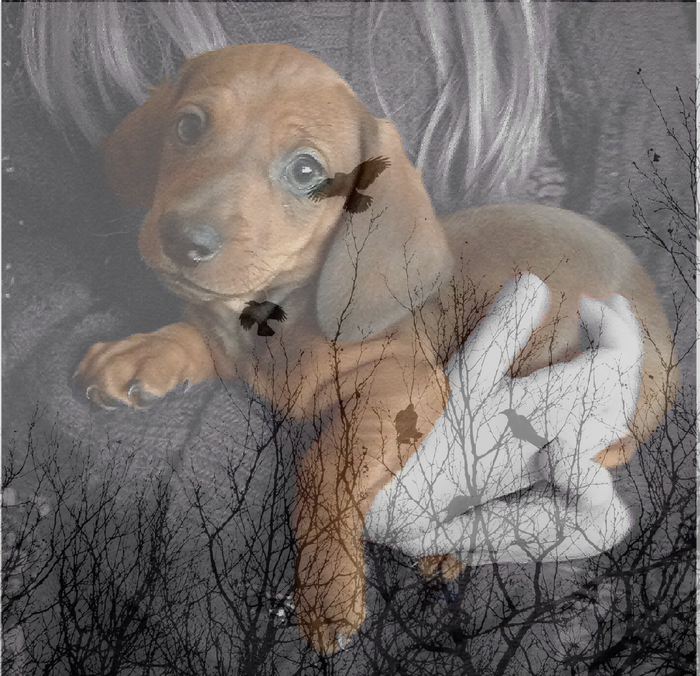 Когда ловишь флешбек из прошлой жизни...