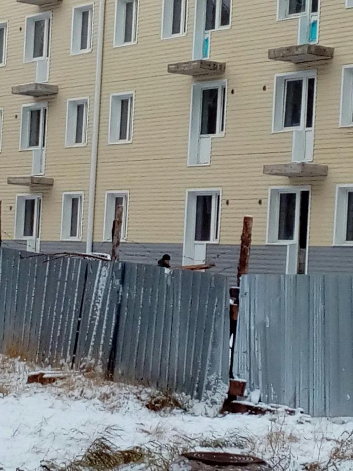 Where is the balcony? - Bratsk, New building, Balcony, Not mine, classmates, 