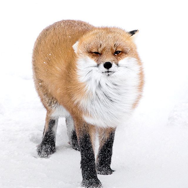 �������...