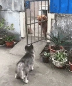 ��������������� �����