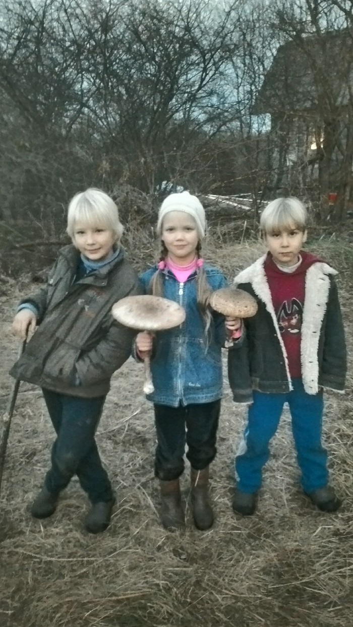 Время охоты