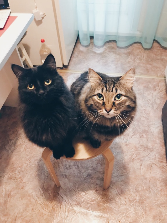 ��� ���� �� ����