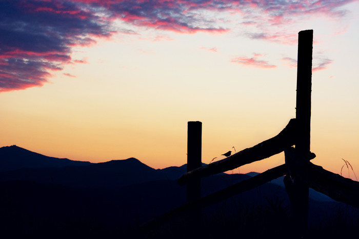 �������� ������