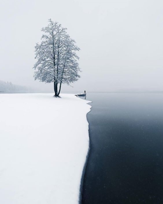 Jarvenpaa, in Finland - The photo, Nature, beauty, Minimalism, Finland