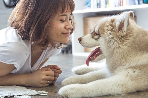 Man's Best Friend: Having a Dog Can Help You Live Longer - Dogs and people, Dog