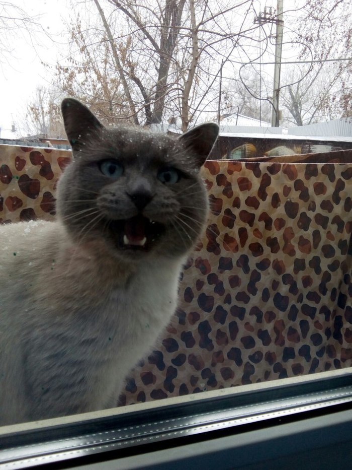 Хочу домой!