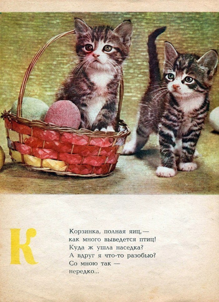 A piece of the cat's alphabet, 1976 - Catomafia, cat, Animals, A selection, ABC, the USSR, Past, 20th century, Longpost