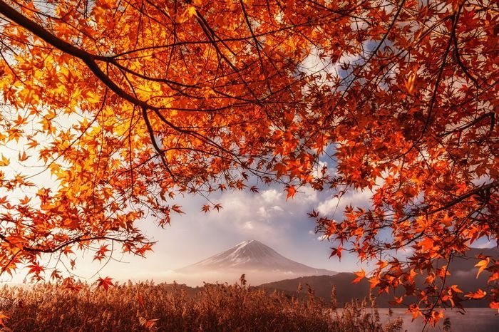     ,  , , , The National Geographic