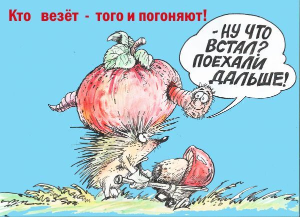 Новые одобренные поборы. - Россия, Татарстан, Налоги, Сборы, Экономика, Длиннопост, Политика