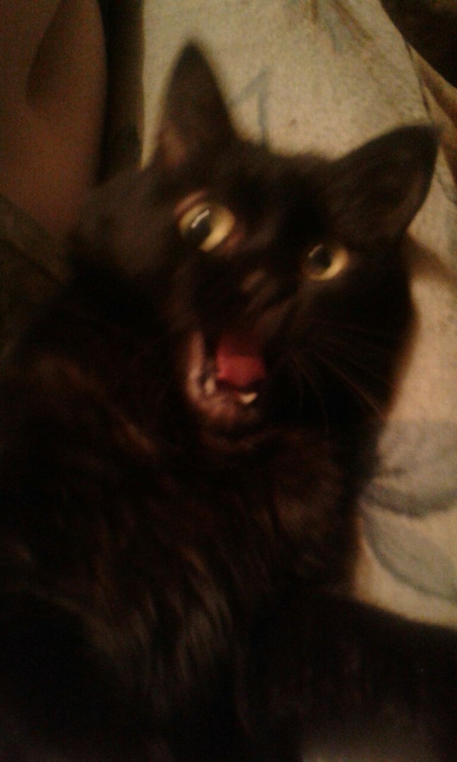 О МАЙ ГААААД