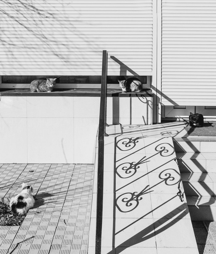 ��������������