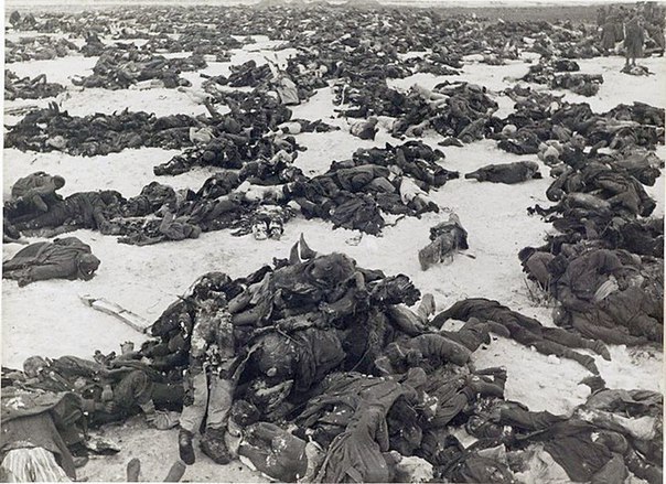 Peaceful, innocent, the Germans traveled more than 2,000 kilometers to bask in the soft snow of the Volga beaches. - Nazis, Genocide, The dead, , Education