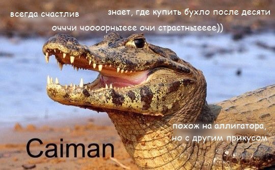 Не путайте :)) - Для меня, Все, Крокодил, Длиннопост, Крокодилы